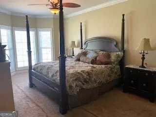 1025 Braddy Rd, Ailey, GA 30410 photo 20