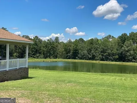 1025 Braddy Rd, Ailey, GA 30410 photo 53
