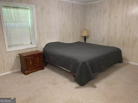 1025 Braddy Rd, Ailey, GA 30410 photo 61