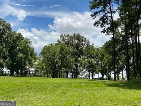 1025 Braddy Rd, Ailey, GA 30410 photo 58
