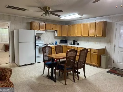 1025 Braddy Rd, Ailey, GA 30410 photo 63