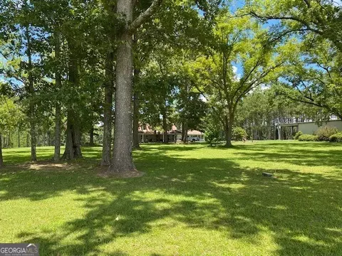 1025 Braddy Rd, Ailey, GA 30410 photo 65