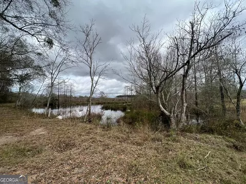336 Mccall Rd, Denton, GA 31532 photo 34
