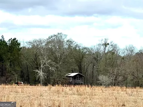 336 Mccall Rd, Denton, GA 31532 photo 36