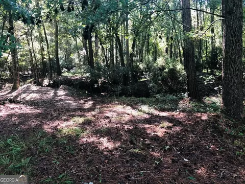 3094 Ga Highway 56 E, Lyons, GA 30436 photo 37