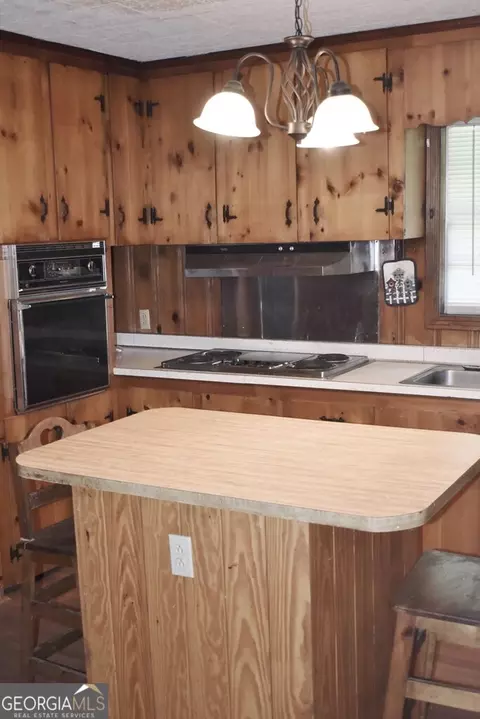 265 S Victory Dr, Lyons, GA 30436 photo 4