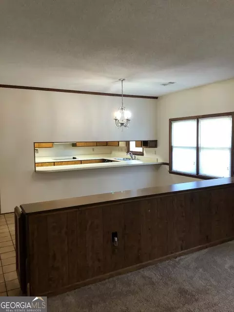 431 Broad St, Ailey, GA 30410 photo 9