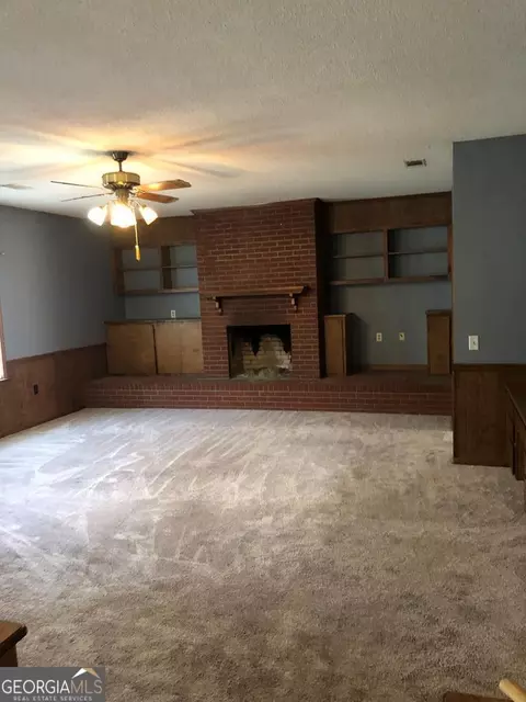 431 Broad St, Ailey, GA 30410 photo 8