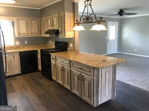 501 W Oglethorpe Ave, Lyons, GA 30436 photo 13