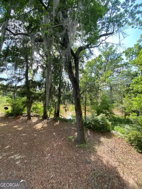495 Dead River Rd, Uvalda, GA 30473 photo 6