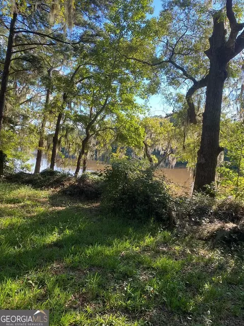 495 Dead River Rd, Uvalda, GA 30473 photo 27