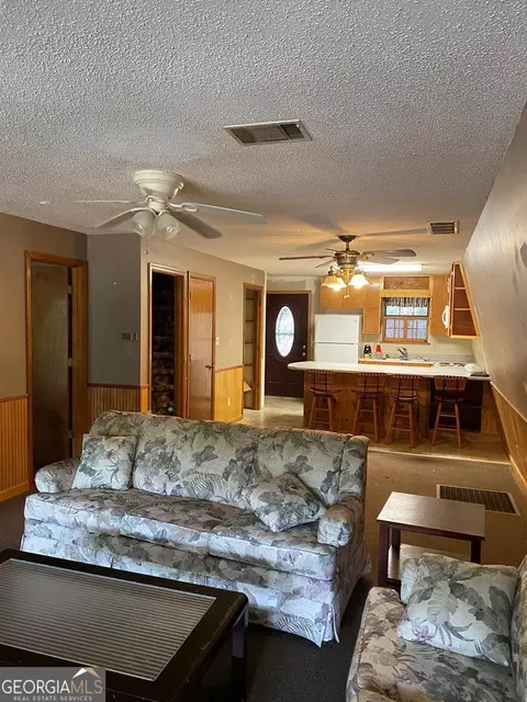 162 Three Rivers Ln, Uvalda, GA 30473 photo 9