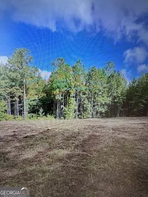 5474 Pollett Rd, Wadley, GA 30477 photo 1