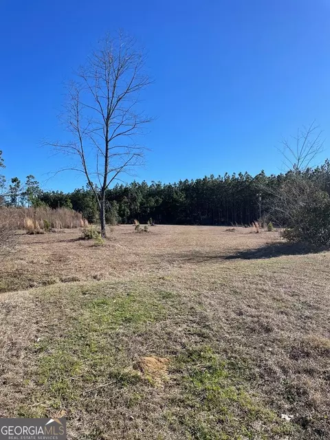 497 Jack Collins Rd, Lyons, GA 30436 photo 5