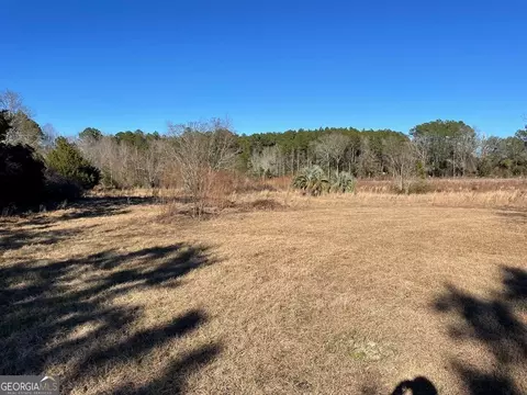 497 Jack Collins Rd, Lyons, GA 30436 photo 3