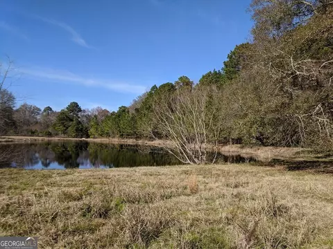 404 S F Kramer Rd, Lyons, GA 30436 photo 17