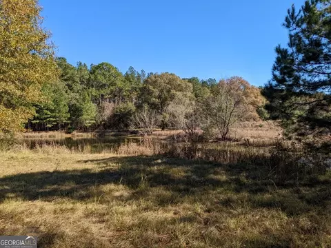 404 S F Kramer Rd, Lyons, GA 30436 photo 9