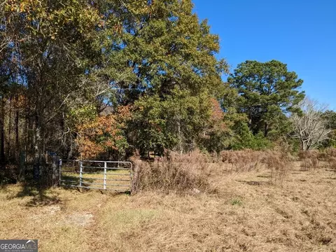 404 S F Kramer Rd, Lyons, GA 30436 photo 4