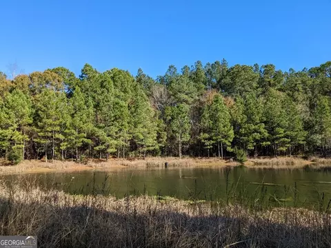 404 S F Kramer Rd, Lyons, GA 30436 photo 11