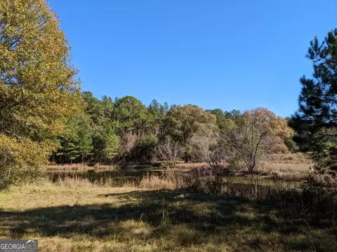 404 S F Kramer Rd, Lyons, GA 30436 photo 8