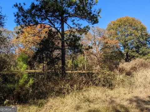 404 S F Kramer Rd, Lyons, GA 30436 photo 10