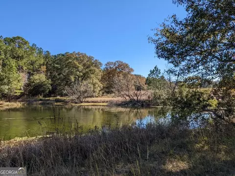 404 S F Kramer Rd, Lyons, GA 30436 photo 2