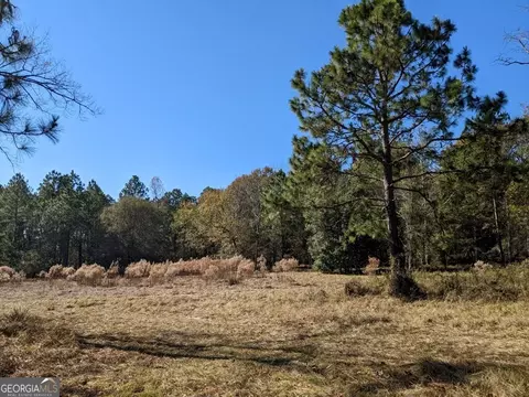 404 S F Kramer Rd, Lyons, GA 30436 photo 15