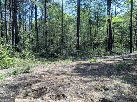 128 Hidden Acre Rd, Lyons, GA 30436 photo 11