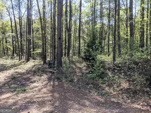 128 Hidden Acre Rd, Lyons, GA 30436 photo 9