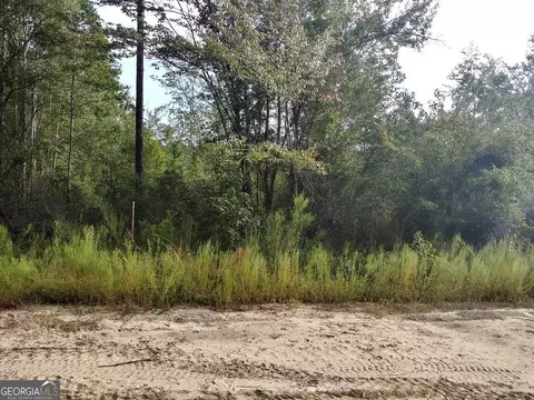300 Nancy Ln, Ailey, GA 30401 photo 1