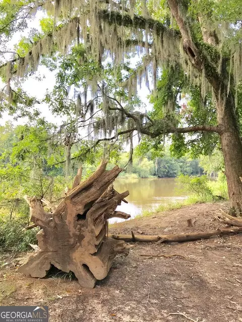 280 Dead River Rd, Uvalda, GA 30473 photo 1