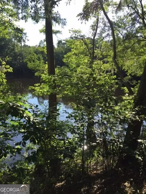 1389 Dead River Rd, Uvalda, GA 30473 photo 1