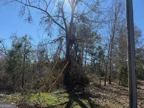 0 Wragler Trl, Hazlehurst, GA 31539