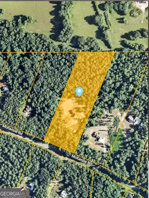 Other - 227 Mckenzie Rd, Milner, GA 30257 photo 9 of 9