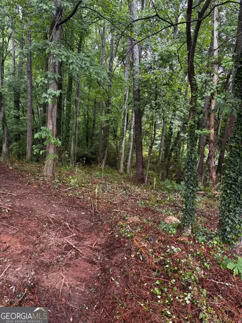 0 Ryman Rdg, Dalton, GA 30720 photo 3
