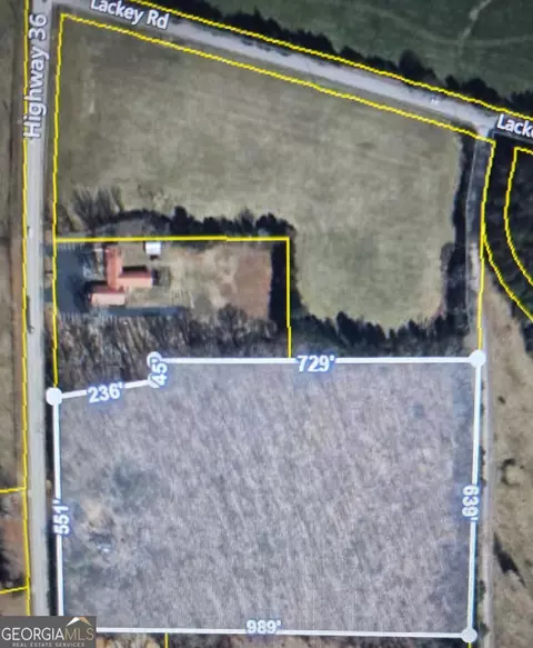 12895 Hwy 36, Covington, GA 30014 photo 2
