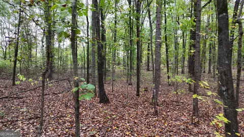 12895 Hwy 36, Covington, GA 30014 photo 8