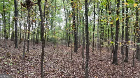 12895 Hwy 36, Covington, GA 30014 photo 7