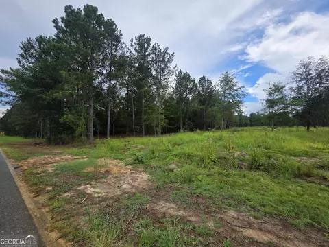 0 Cv Mosley Blvd, Lyons, GA 30436 photo 5