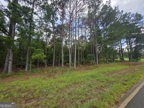 0 Cv Mosley Blvd, Lyons, GA 30436 photo 10