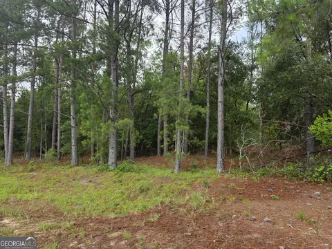 0 Cv Mosley Blvd, Lyons, GA 30436 photo 7