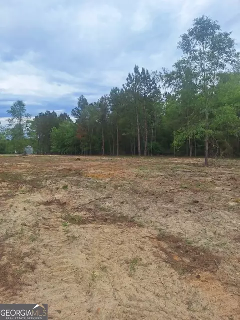 0 Cv Mosley Blvd, Lyons, GA 30436 photo 3