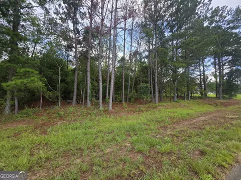 0 Cv Mosley Blvd, Lyons, GA 30436 photo 9