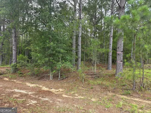 0 Cv Mosley Blvd, Lyons, GA 30436 photo 6