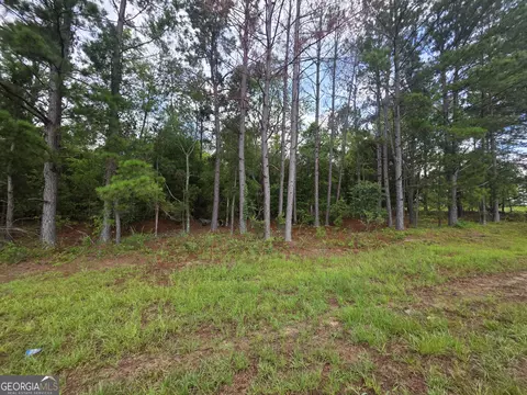 0 Cv Mosley Blvd, Lyons, GA 30436 photo 8