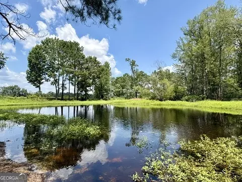 View/Area - 4338 Union Rd, Metter, GA 30439 photo 5 of 7