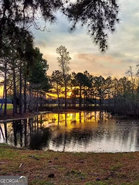 View/Area - 4338 Union Rd, Metter, GA 30439 photo 2 of 3
