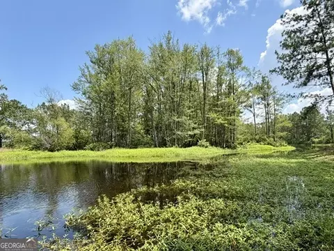 View/Area - 4338 Union Rd, Metter, GA 30439 photo 6 of 7