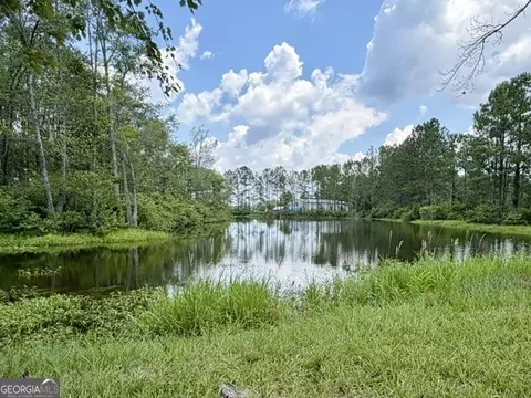 View/Area - 4338 Union Rd, Metter, GA 30439 photo 4 of 7