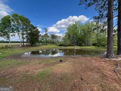 View/Area - 4338 Union Rd, Metter, GA 30439 photo 3 of 3